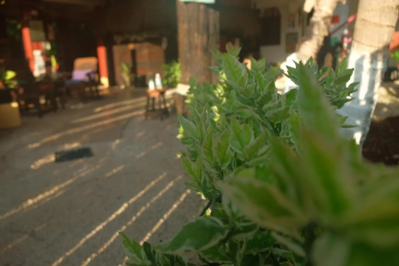 Guest house Near Lake Hostal Bacalar Mexico