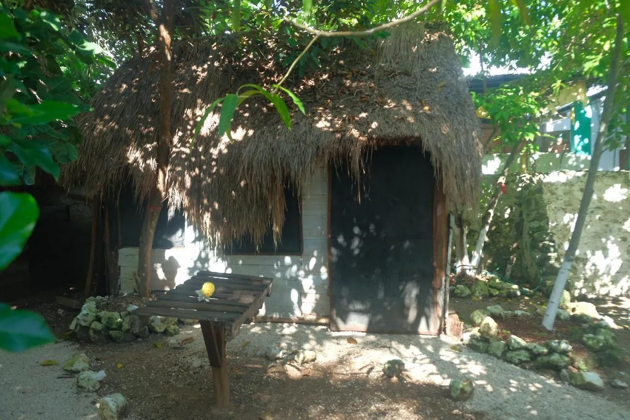 Near Lake Hostal Bacalar
