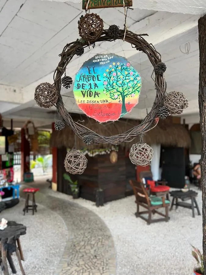 Near Lake Hostal Bacalar